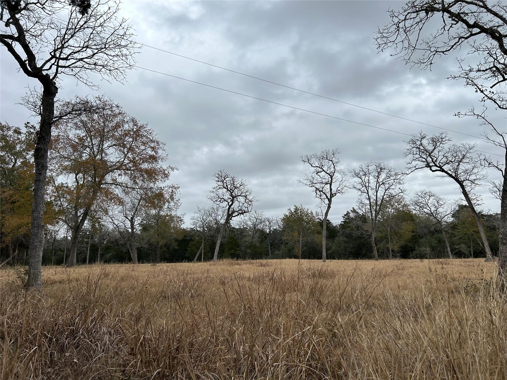 4605 Krischke Rd Property Photo 13