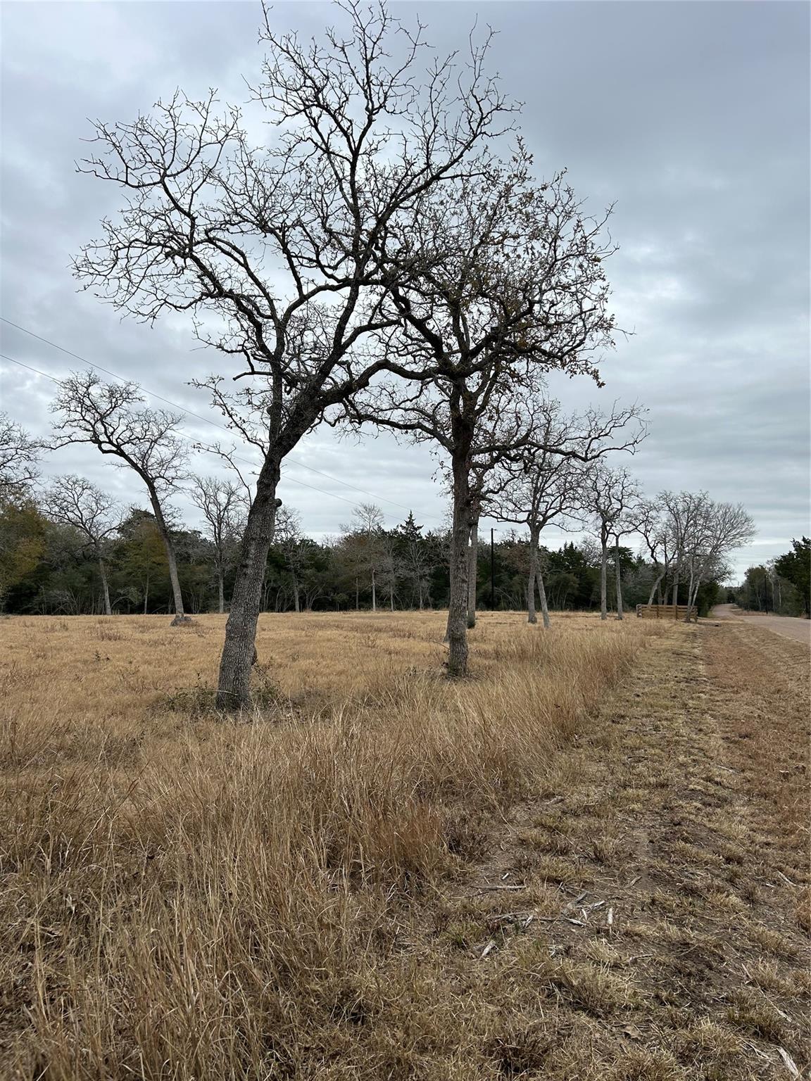 4605 Krischke Rd Property Photo 14