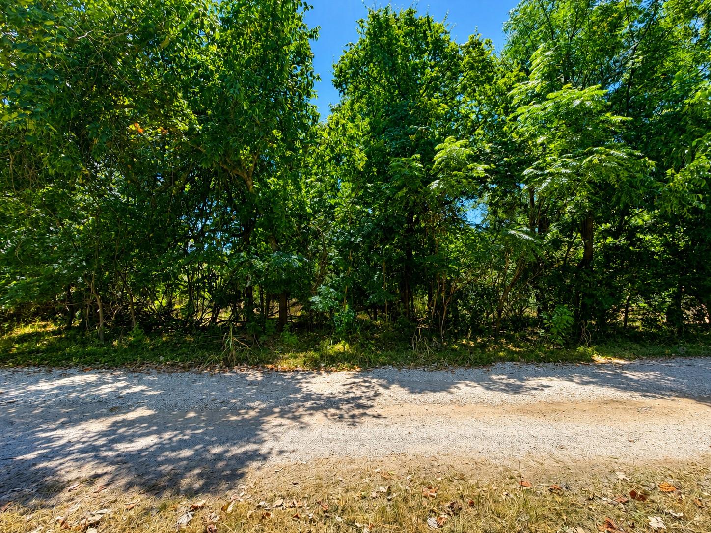 TBD Buckner Ln Property Photo 1