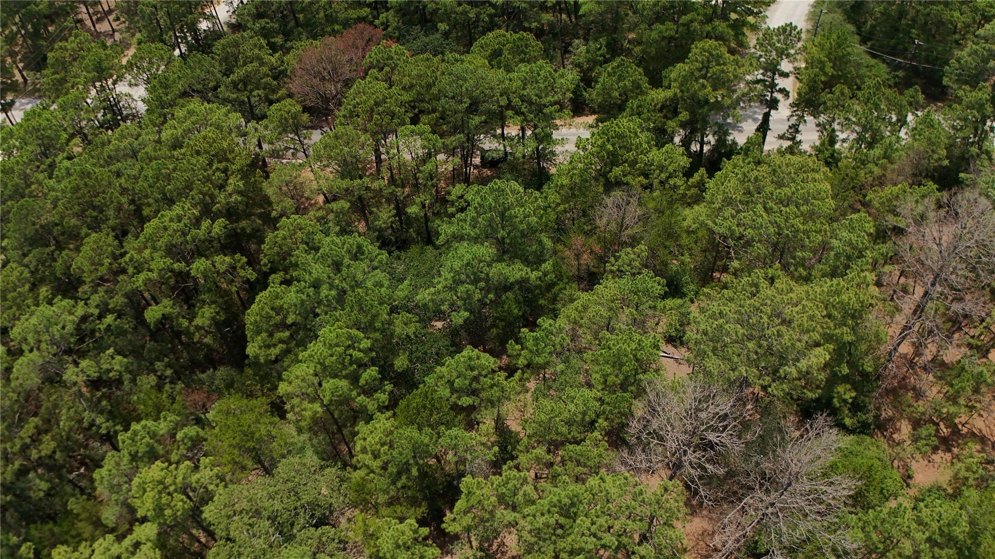 147 Kamaiki Dr Property Photo 4