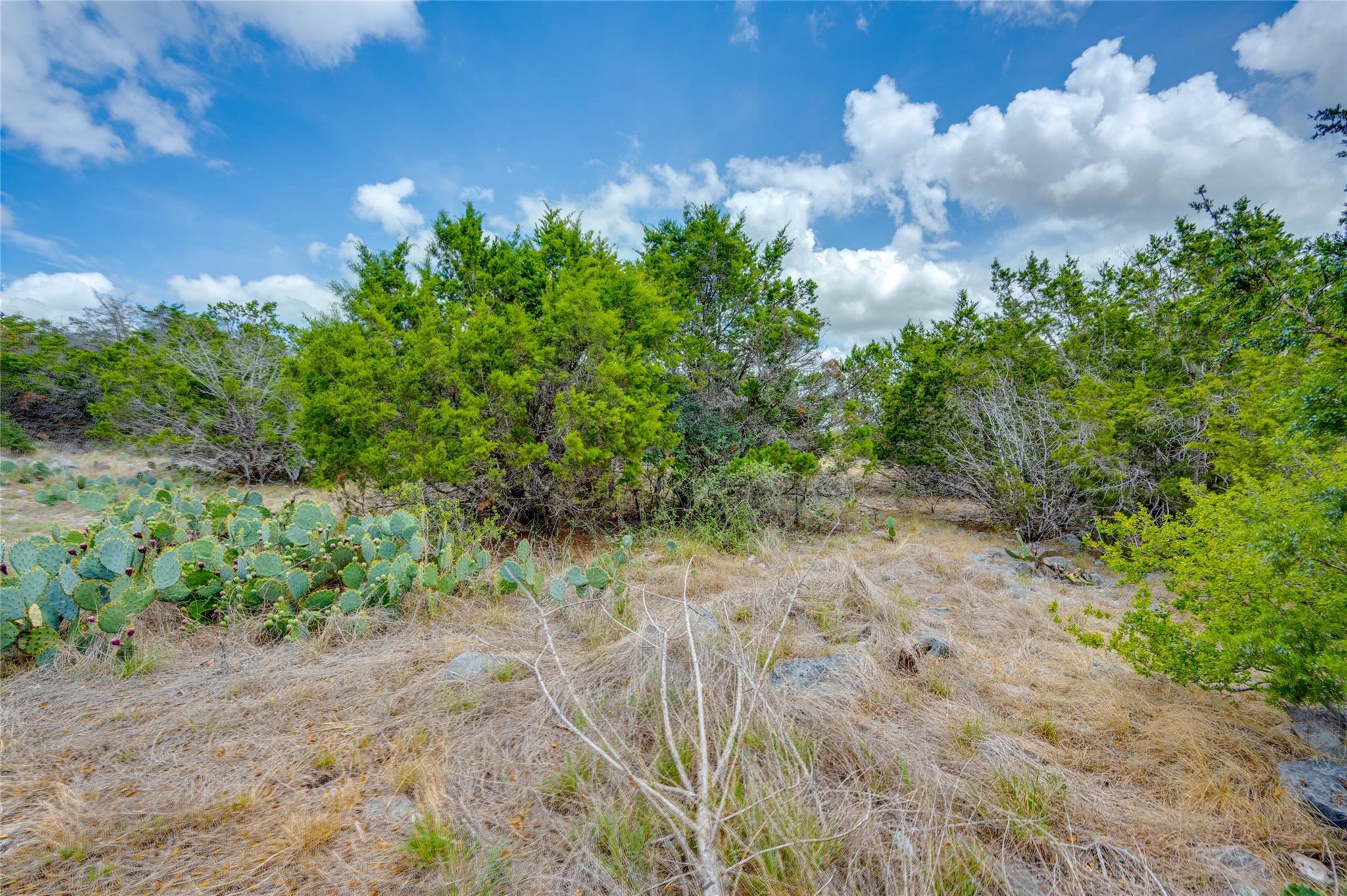 328 Valley Ldg Property Photo 7