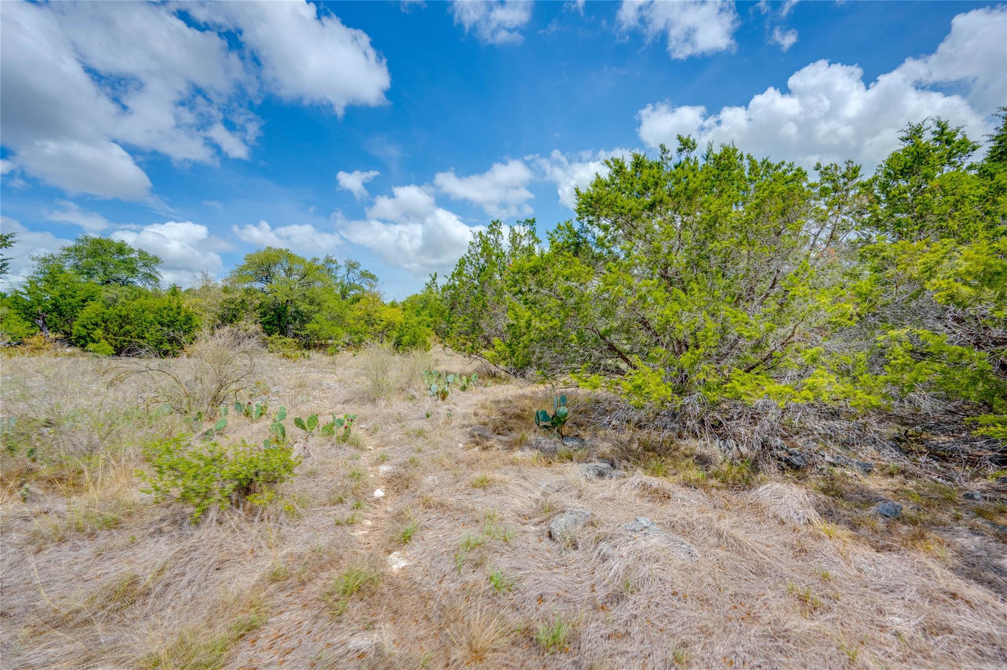 328 Valley Ldg Property Photo 13