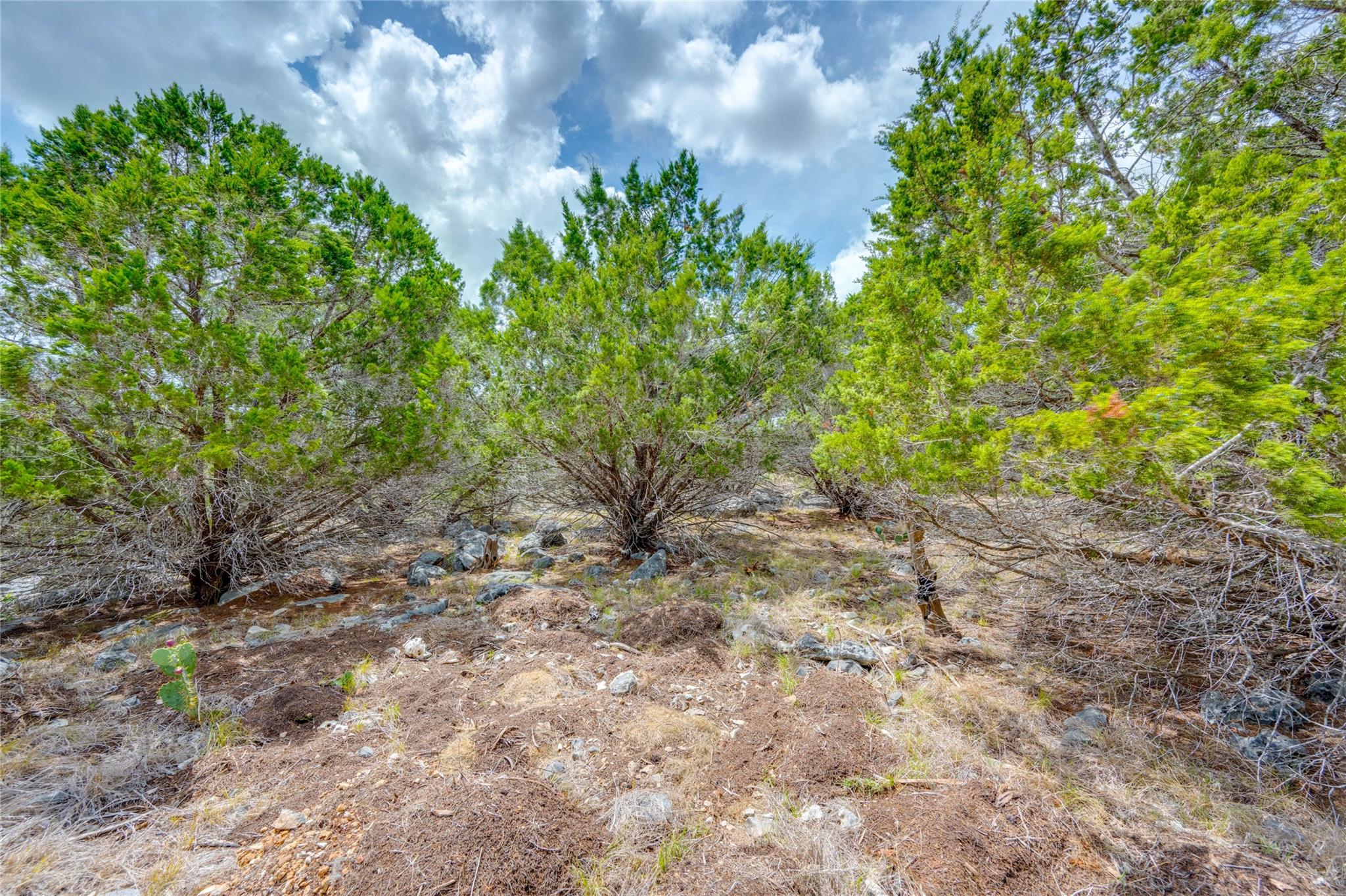 328 Valley Ldg Property Photo 14