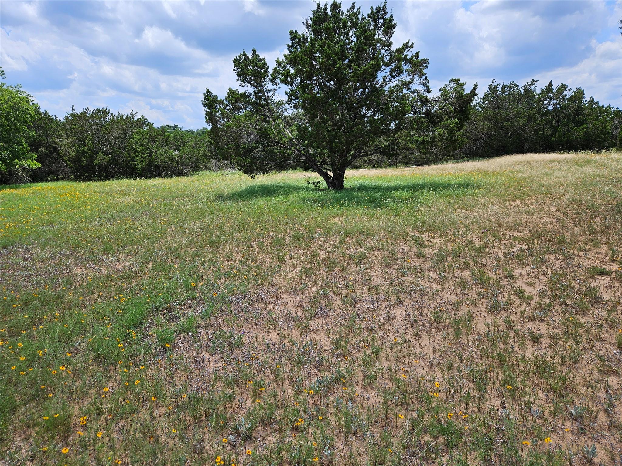 2790 W Highway 290 None Property Photo 8
