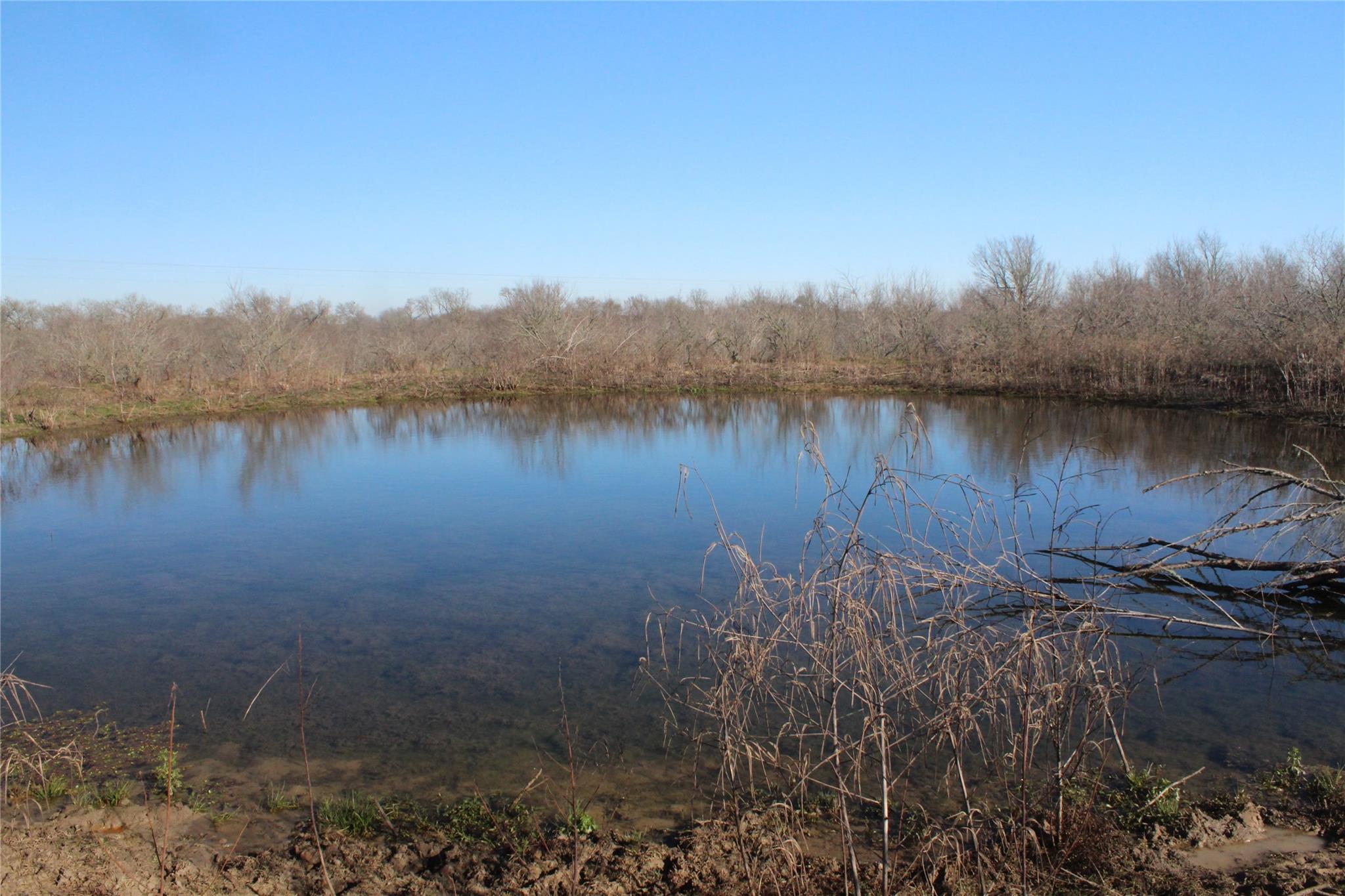 1223 County Road 429 None Property Photo 1