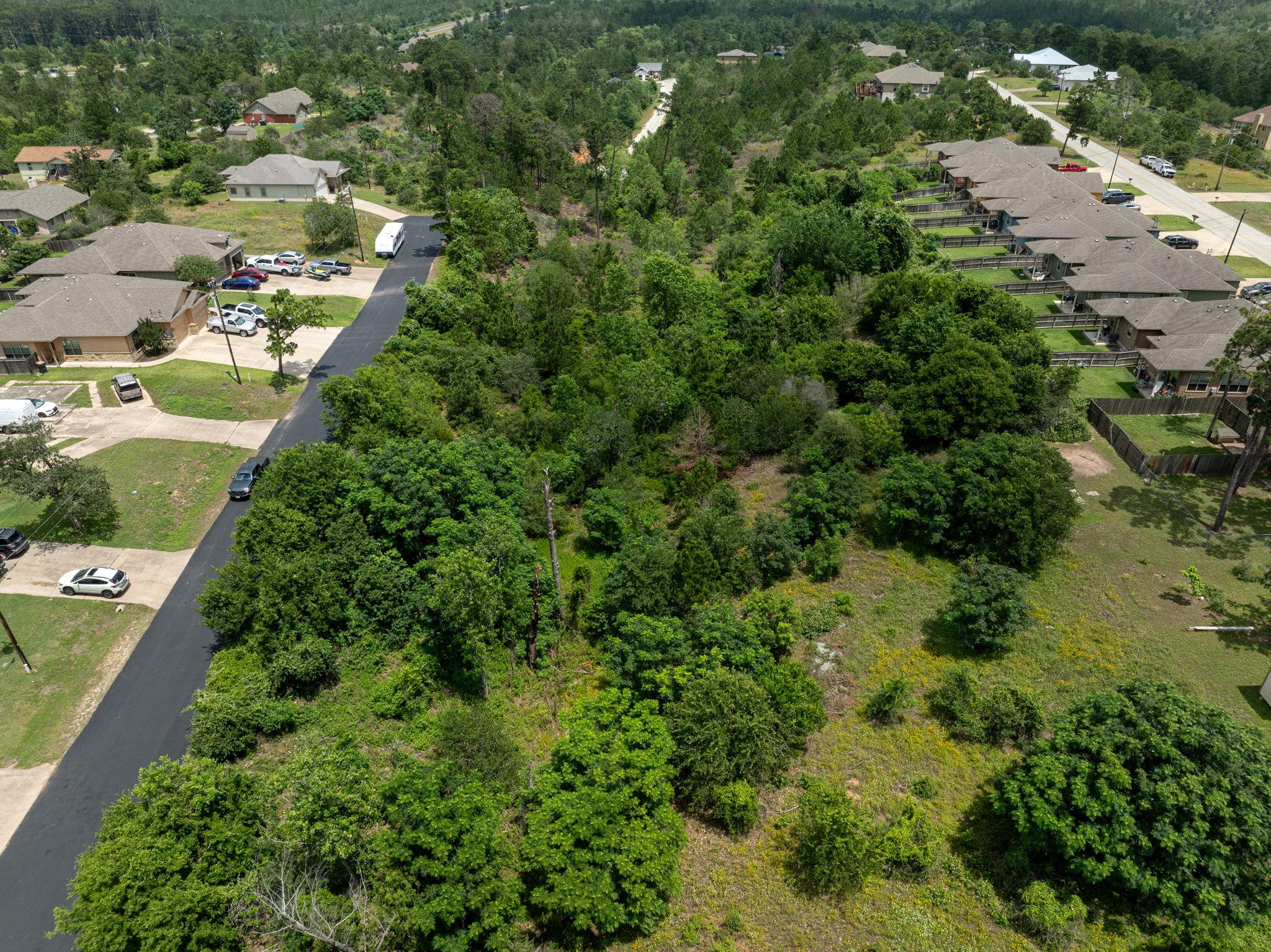 Tbd Pahala Ct Property Photo 6