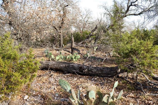 Tbd Lot 7 Whitetail Trl Property Photo 6