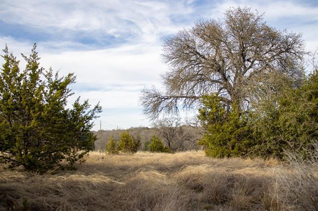 Tbd Lot 7 Whitetail Trl Property Photo 7