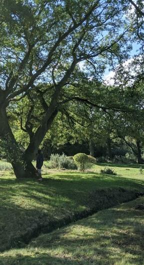1141 Silver Dollar Trl Property Photo 17