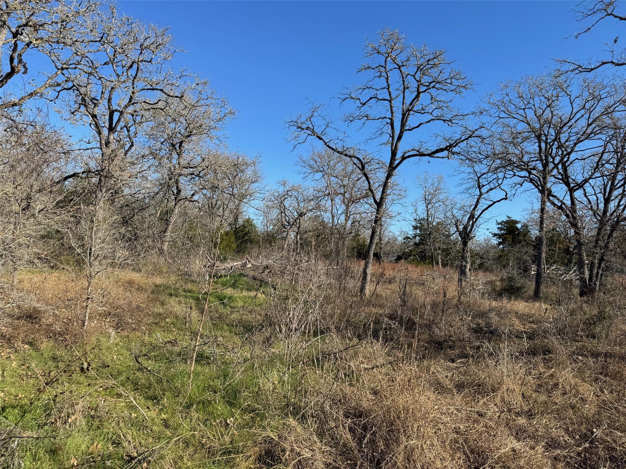 Tbd Tbd Dr Property Photo 2