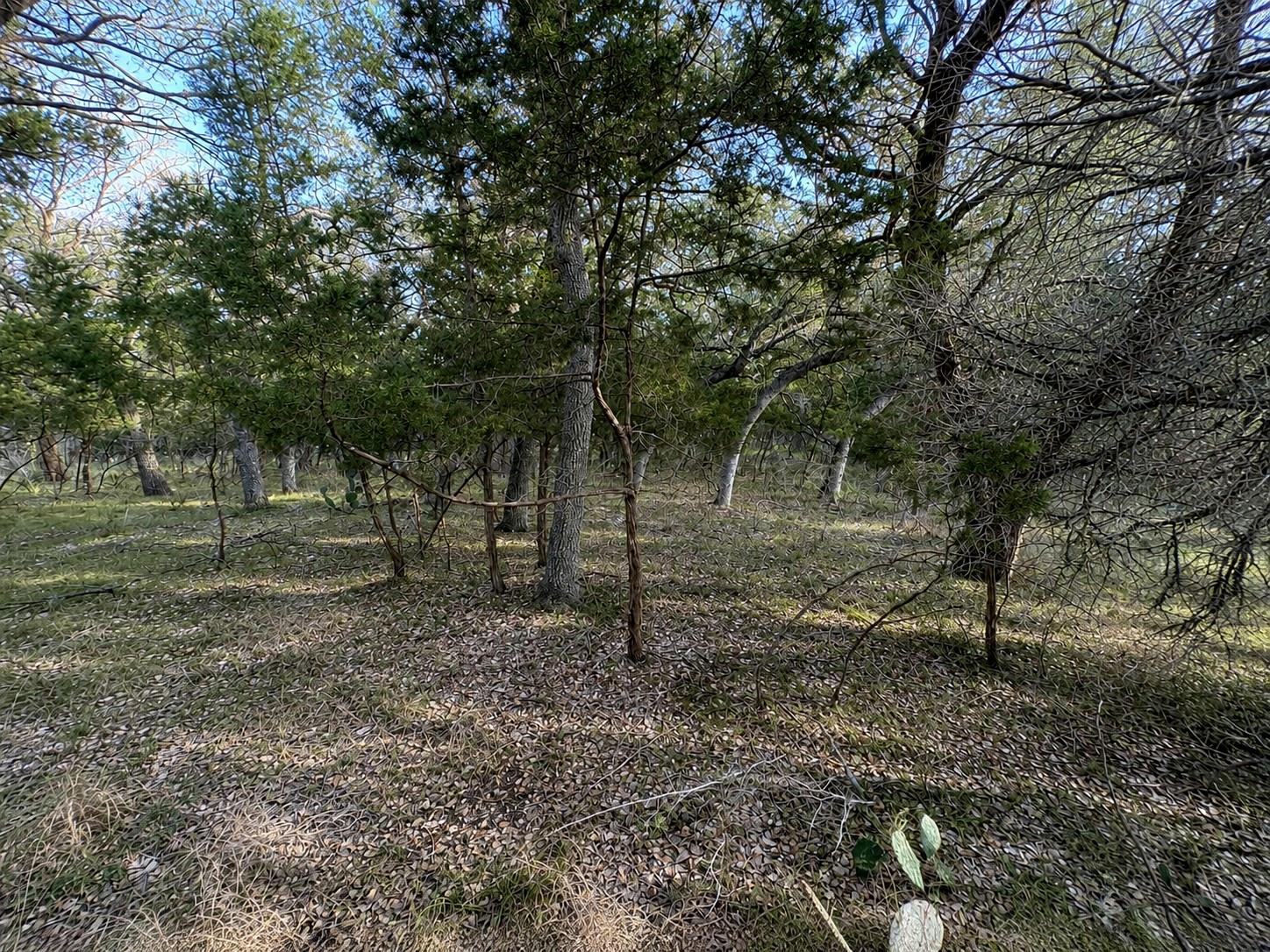 21719 Heather Dr Property Photo 11