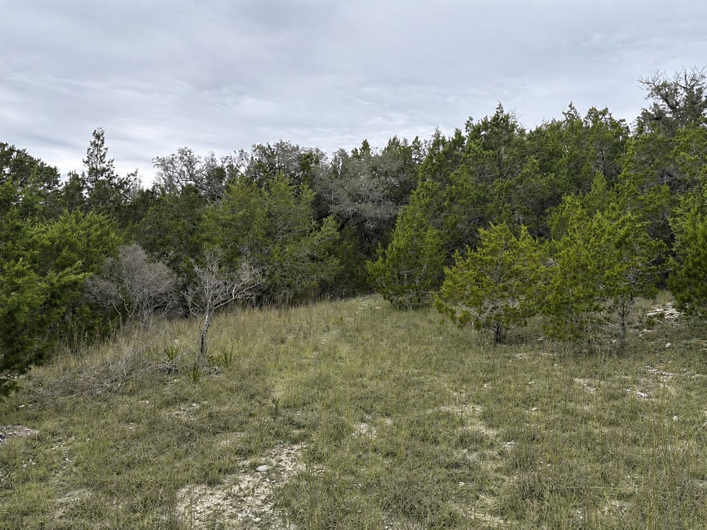Lot 20e Overland Stage Rd Property Photo 3