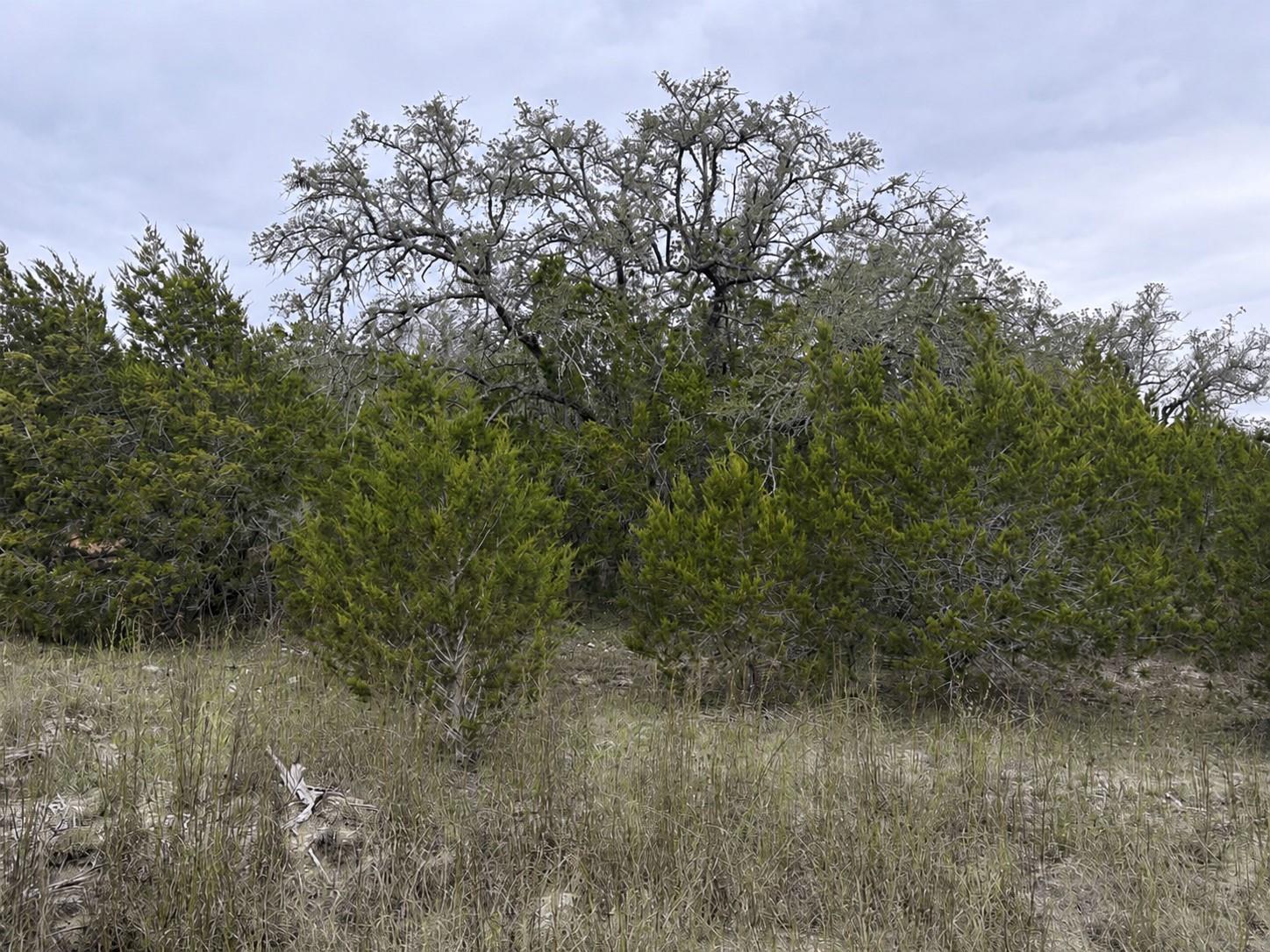 Lot 20e Overland Stage Rd Property Photo 11