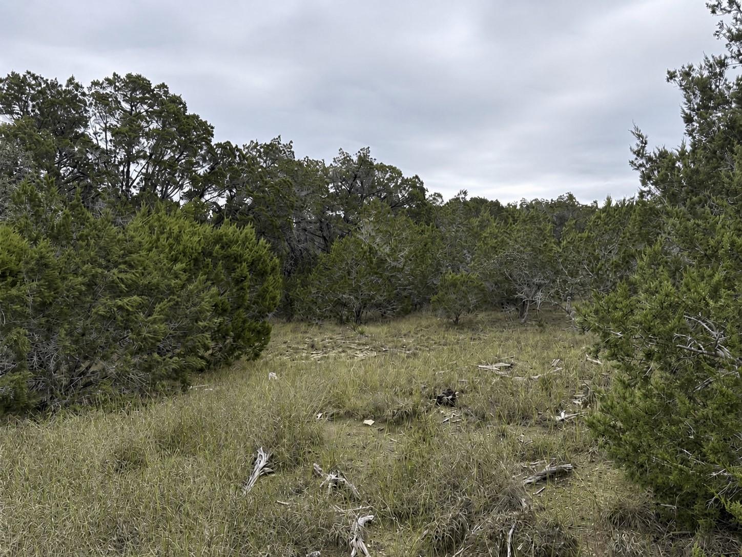 Lot 20e Overland Stage Rd Property Photo 12