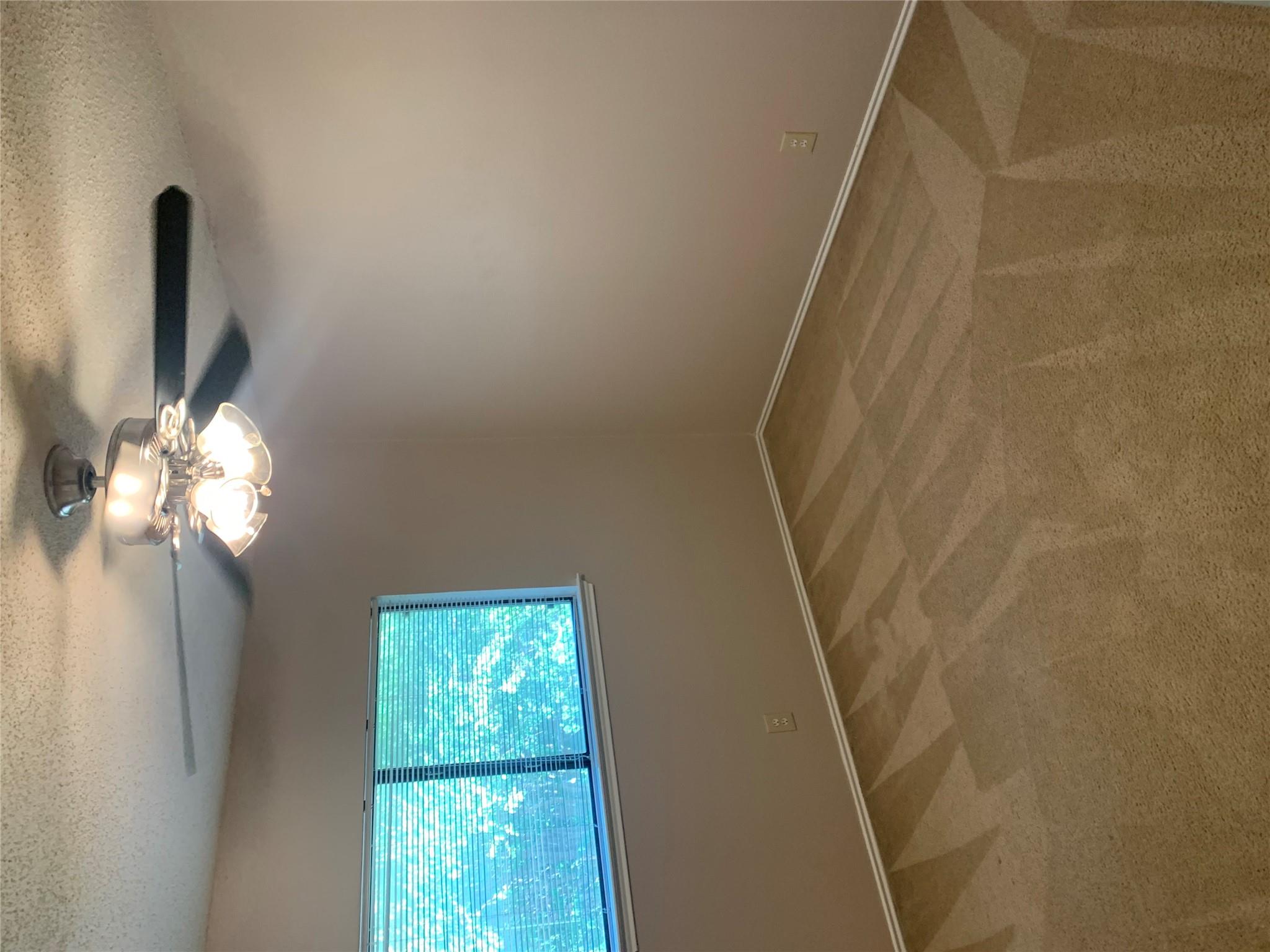 3215 Tree Grove Dr Property Photo 17