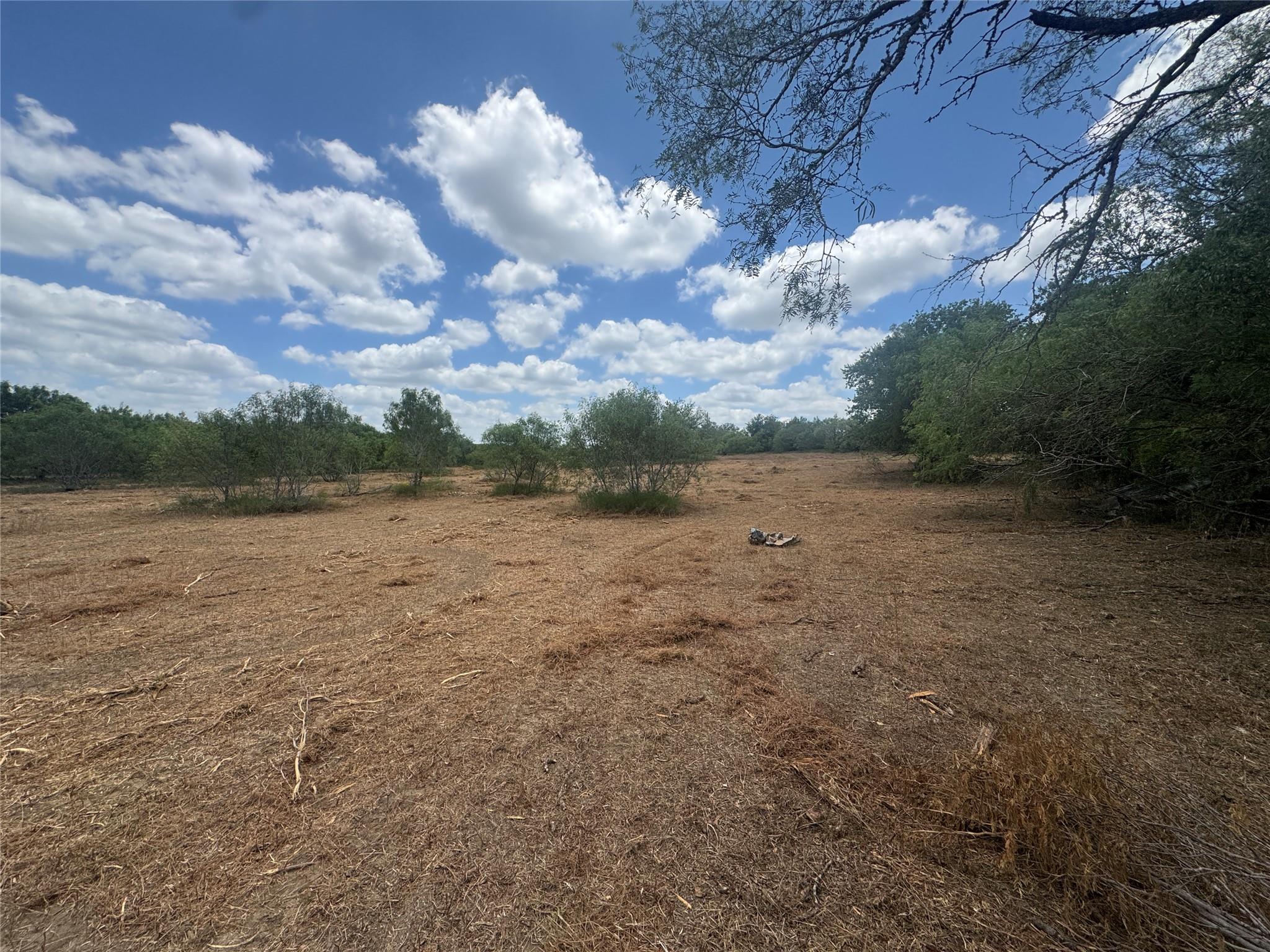 Tbd Sand Hill Rd Property Photo 8
