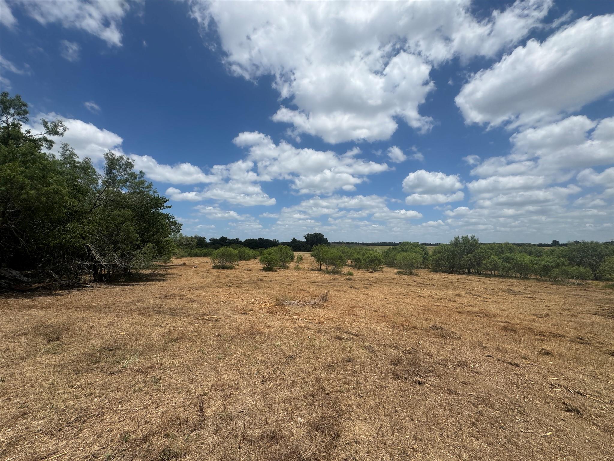Tbd Sand Hill Rd Property Photo 9