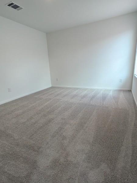 161 Star Packer Ln Property Photo 4