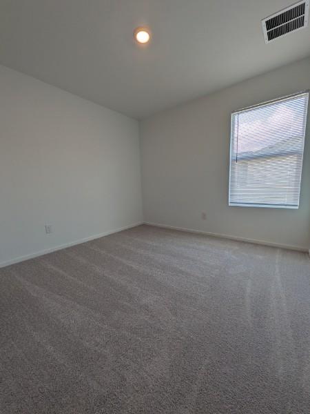 161 Star Packer Ln Property Photo 9