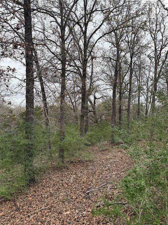 000 Wailupe Cir Property Photo 1