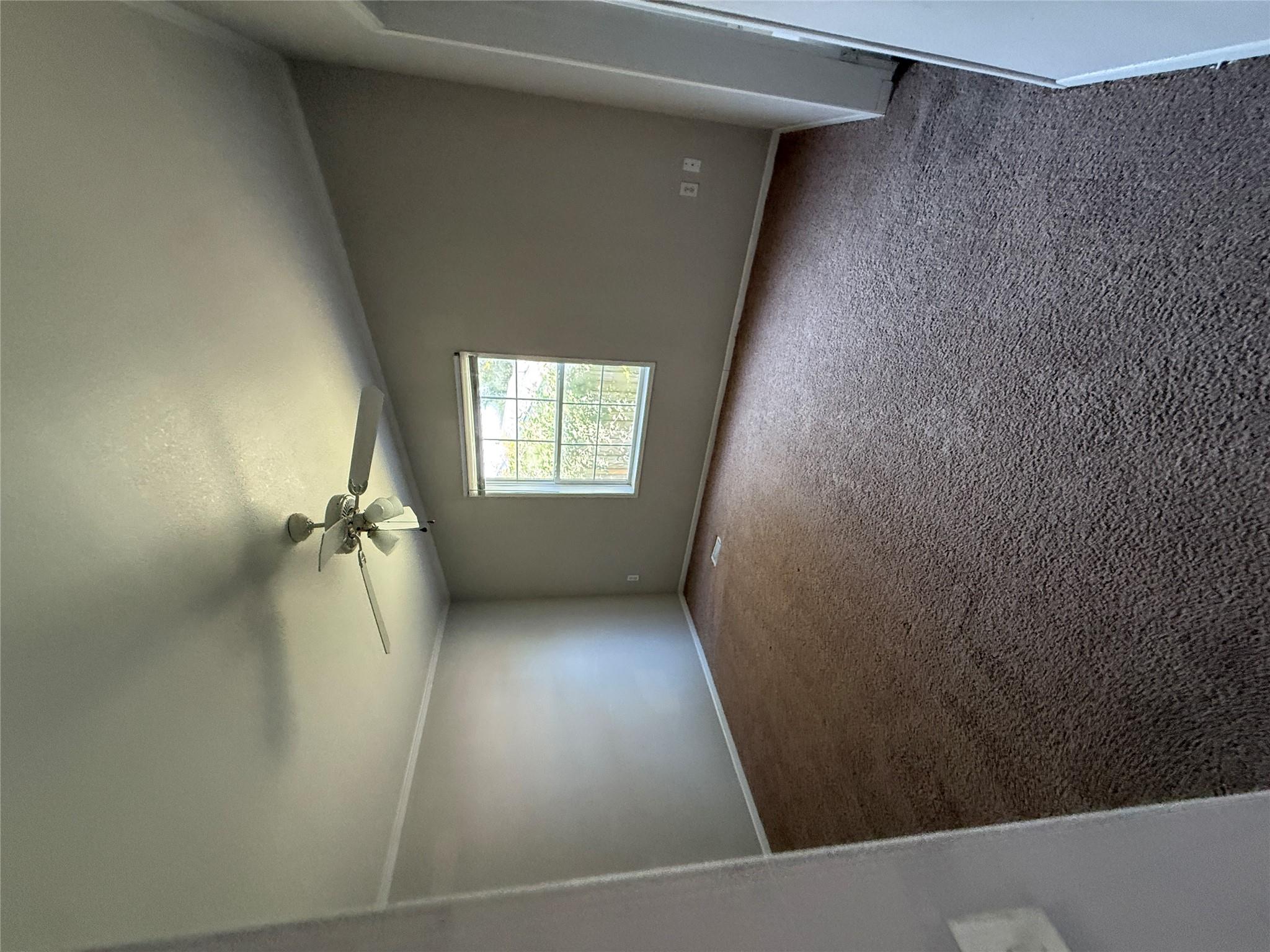 4423 Magin Meadow Dr Property Photo 6
