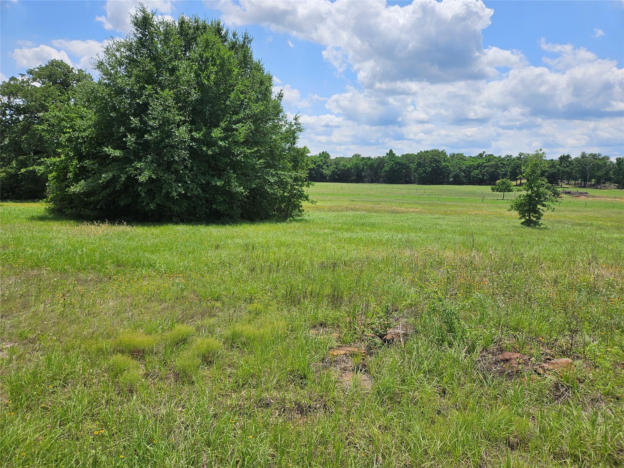 298 Cr 346 Rd Property Photo 6