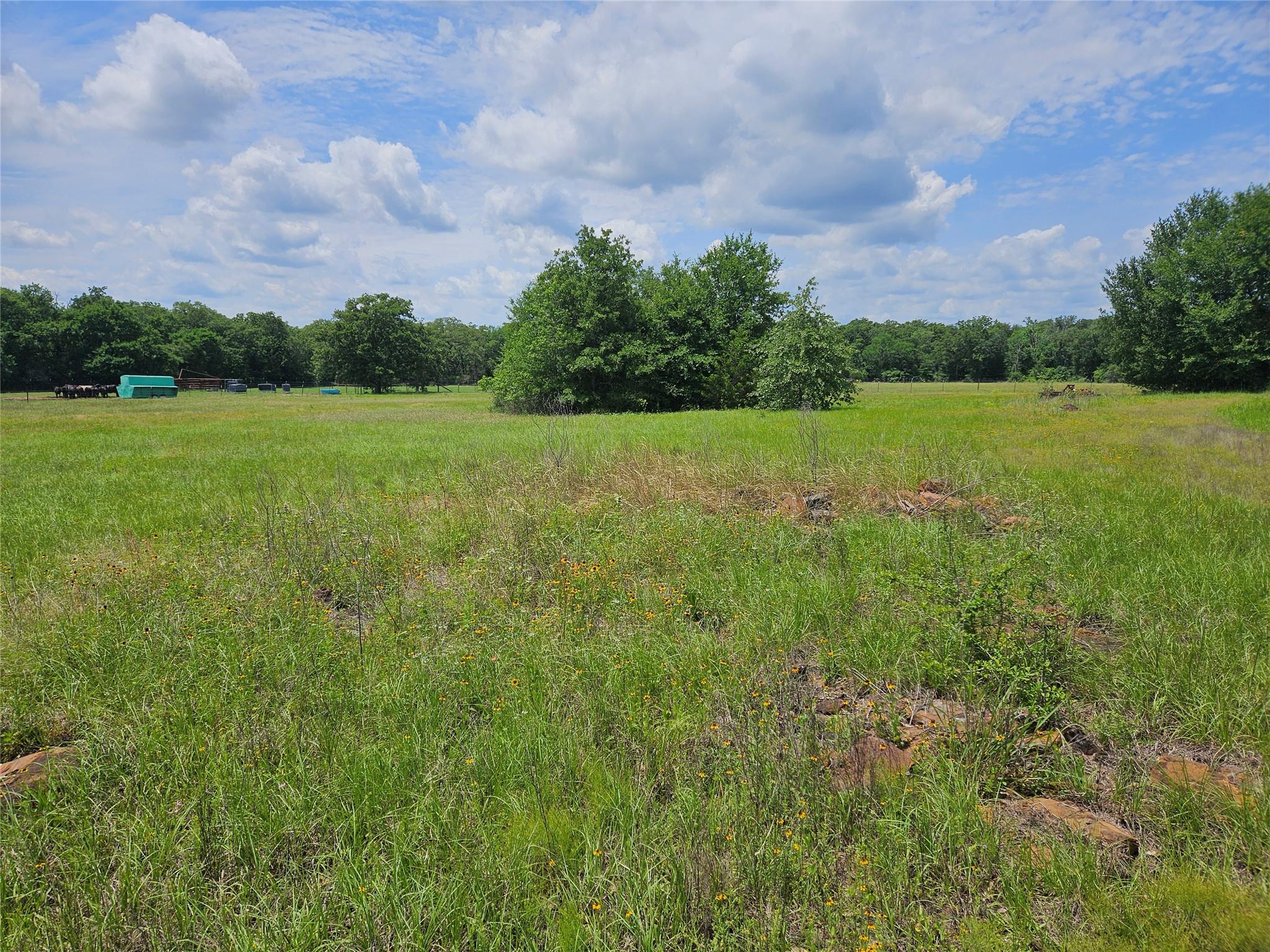 298 Cr 346 Rd Property Photo 7