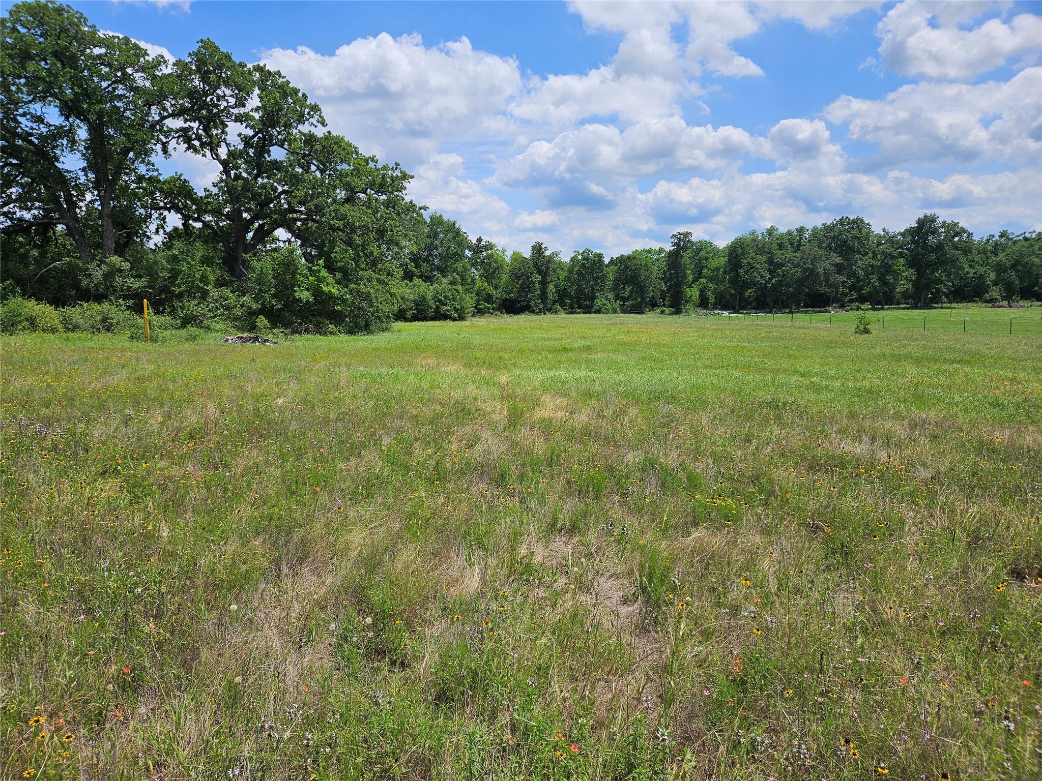 298 Cr 346 Rd Property Photo 8