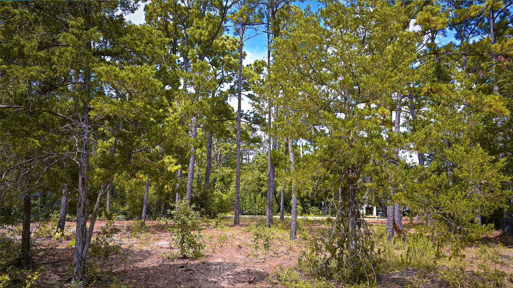 Tbd Modock Dr Property Photo 7