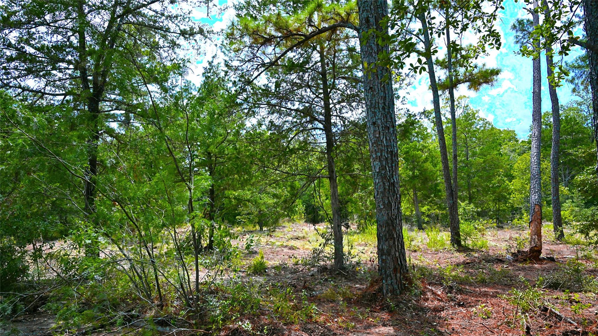 Tbd Modock Dr Property Photo 8