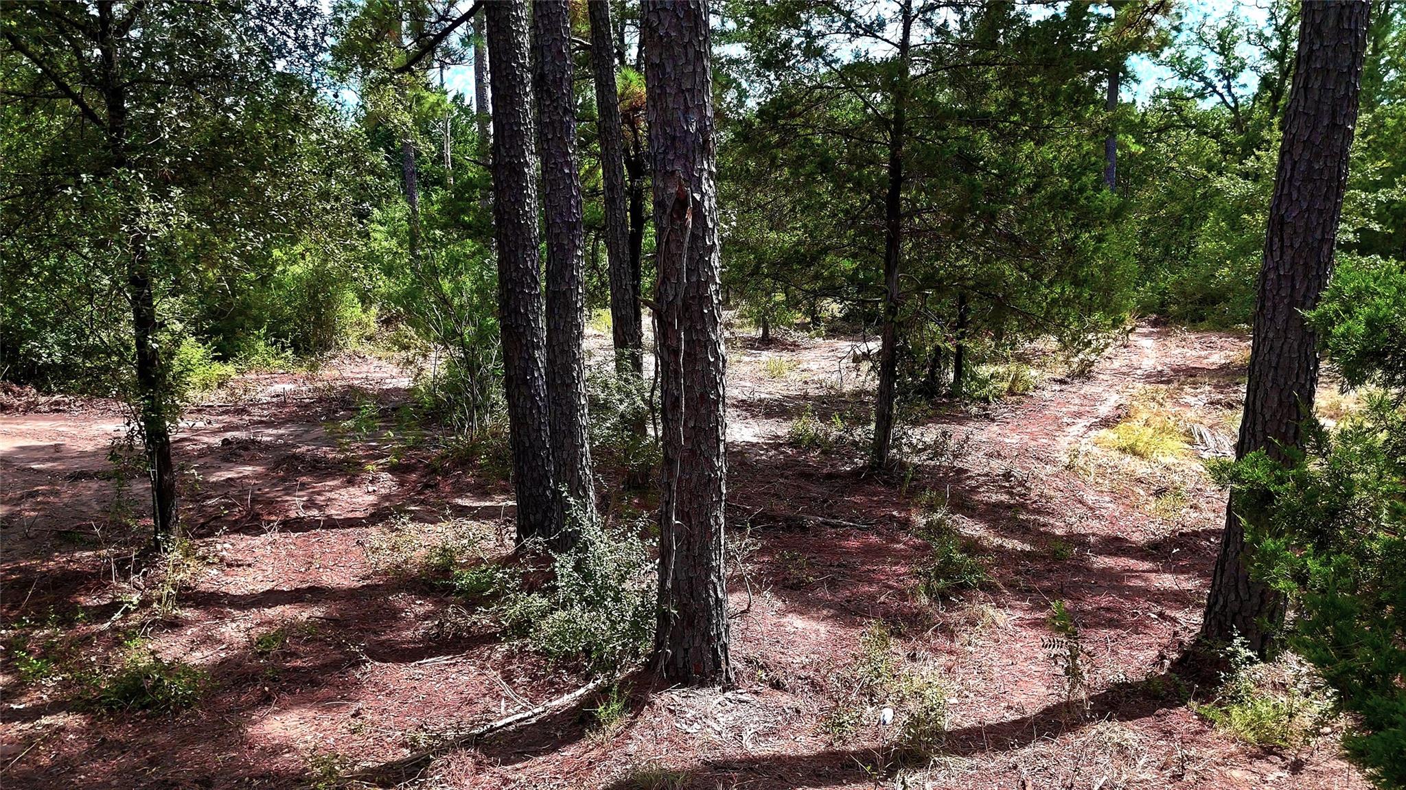 Tbd Modock Dr Property Photo 24
