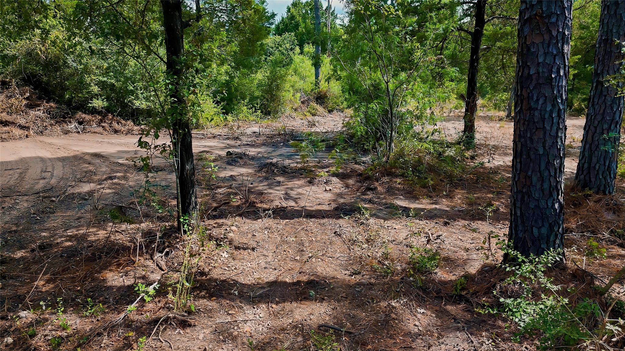 Tbd Modock Dr Property Photo 25