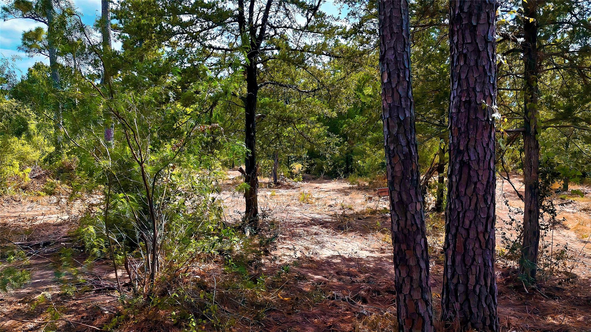 Tbd Modock Dr Property Photo 27