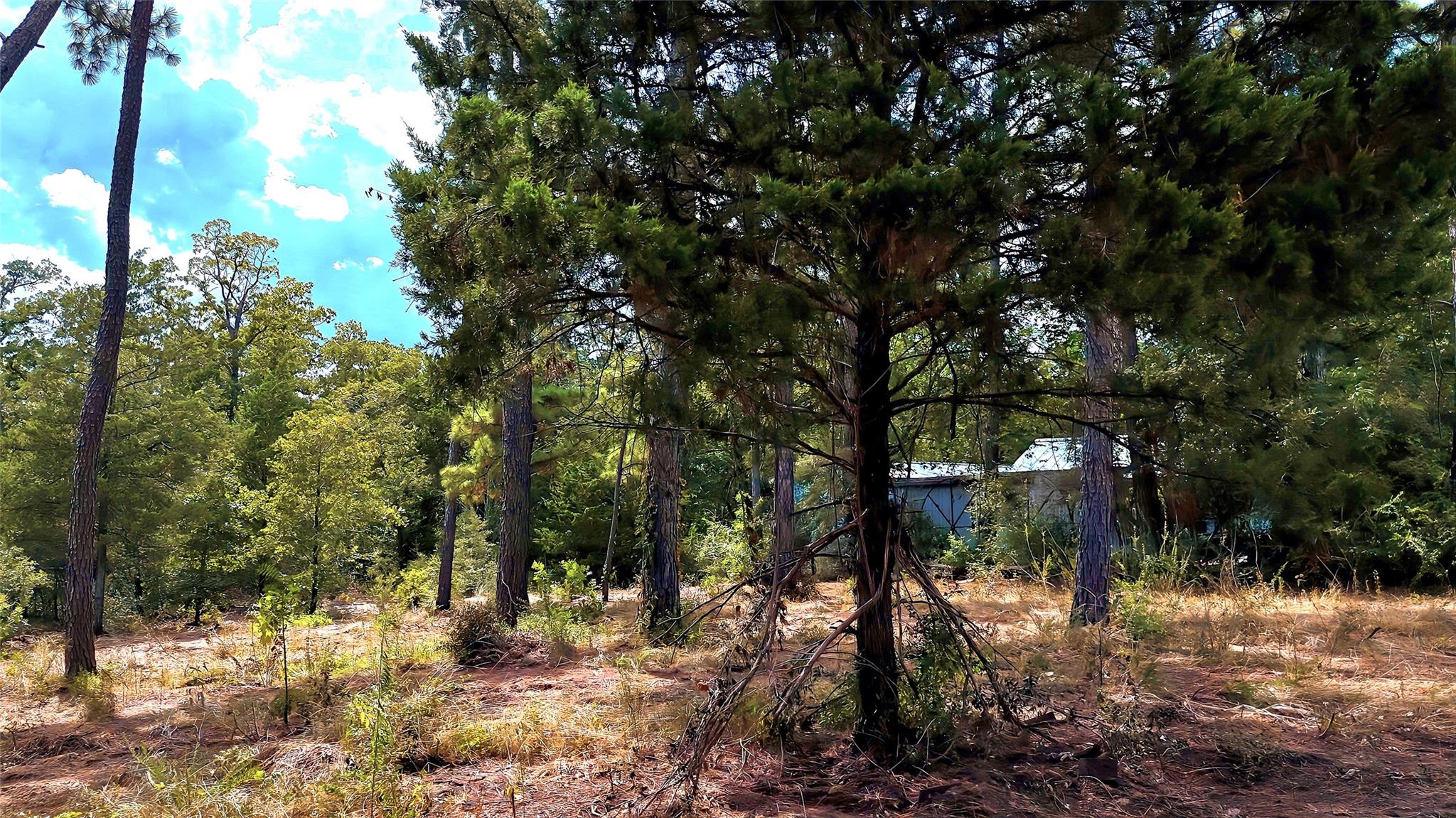Tbd Modock Dr Property Photo 28