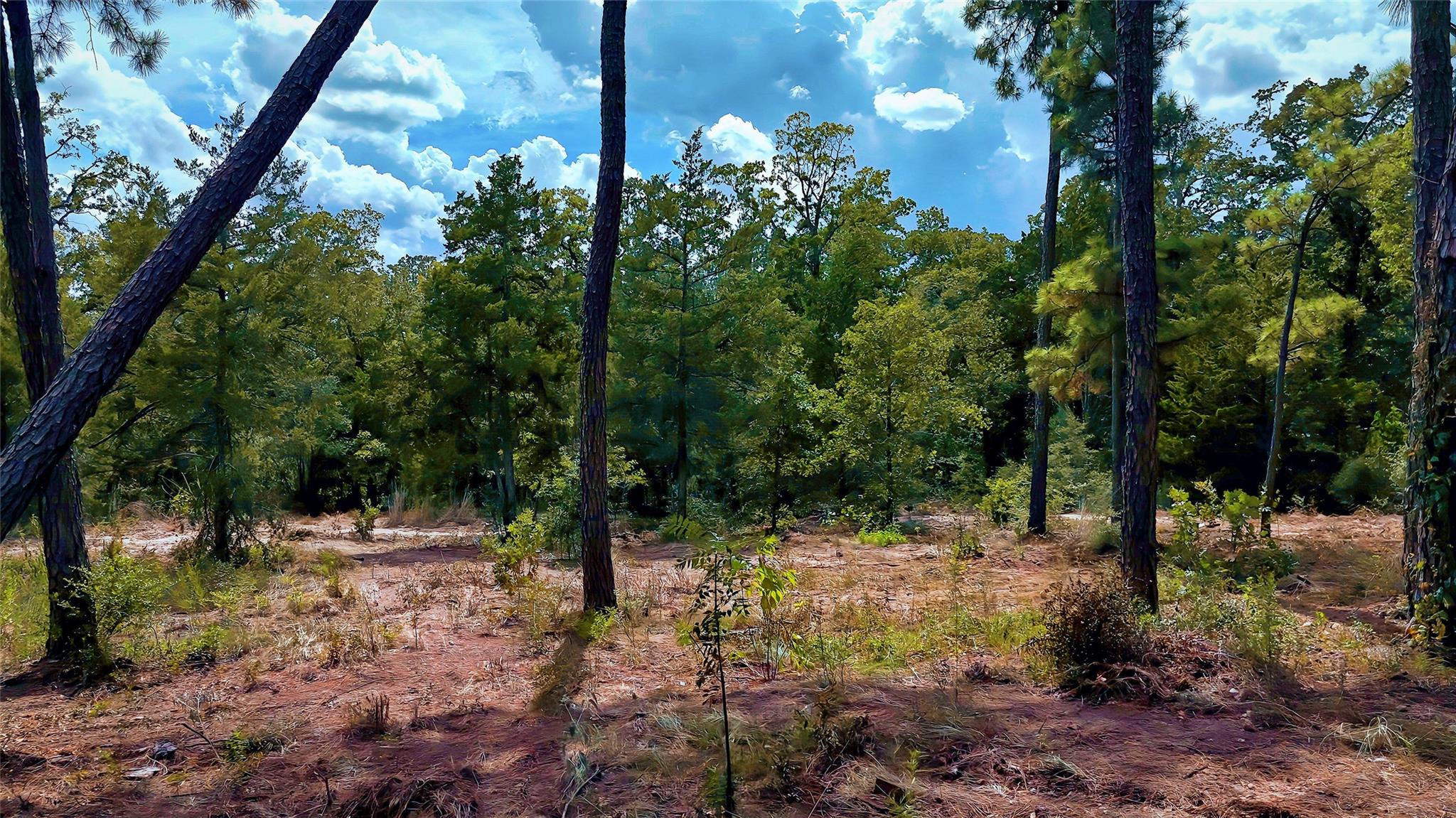 Tbd Modock Dr Property Photo 29