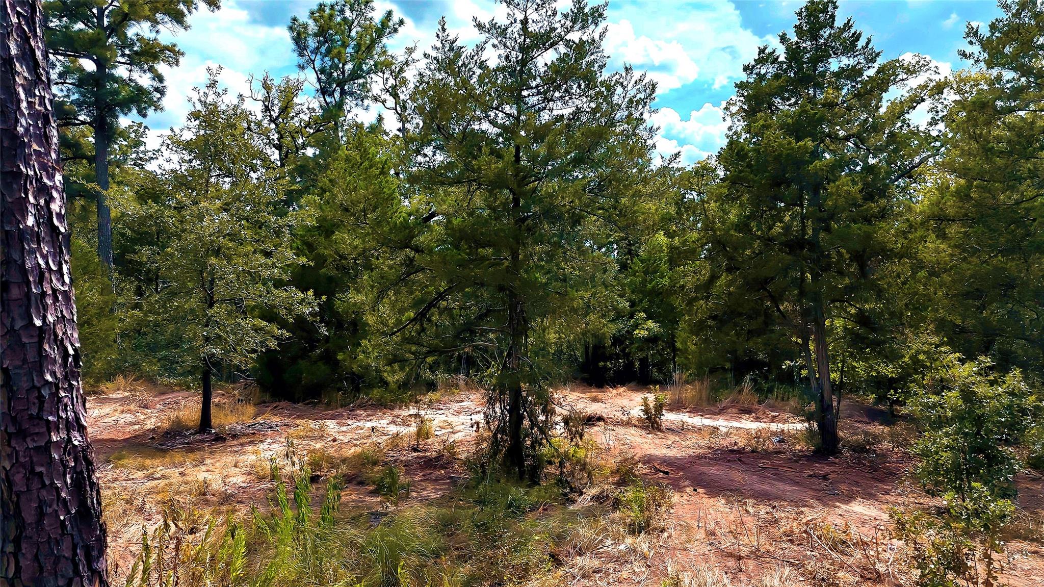 Tbd Modock Dr Property Photo 30