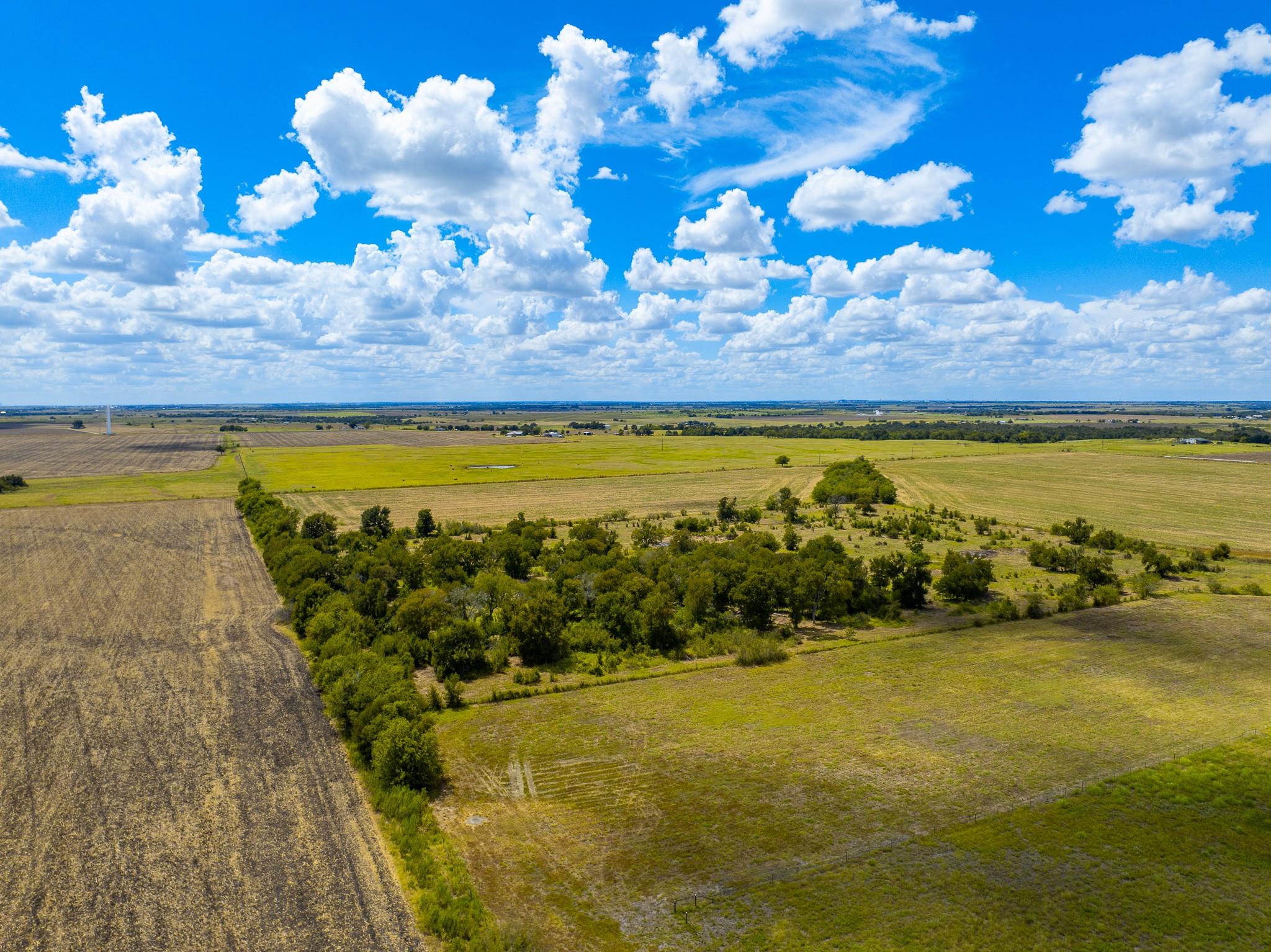 0 Tract 1 Cr 470 - Ctr Property Photo 9