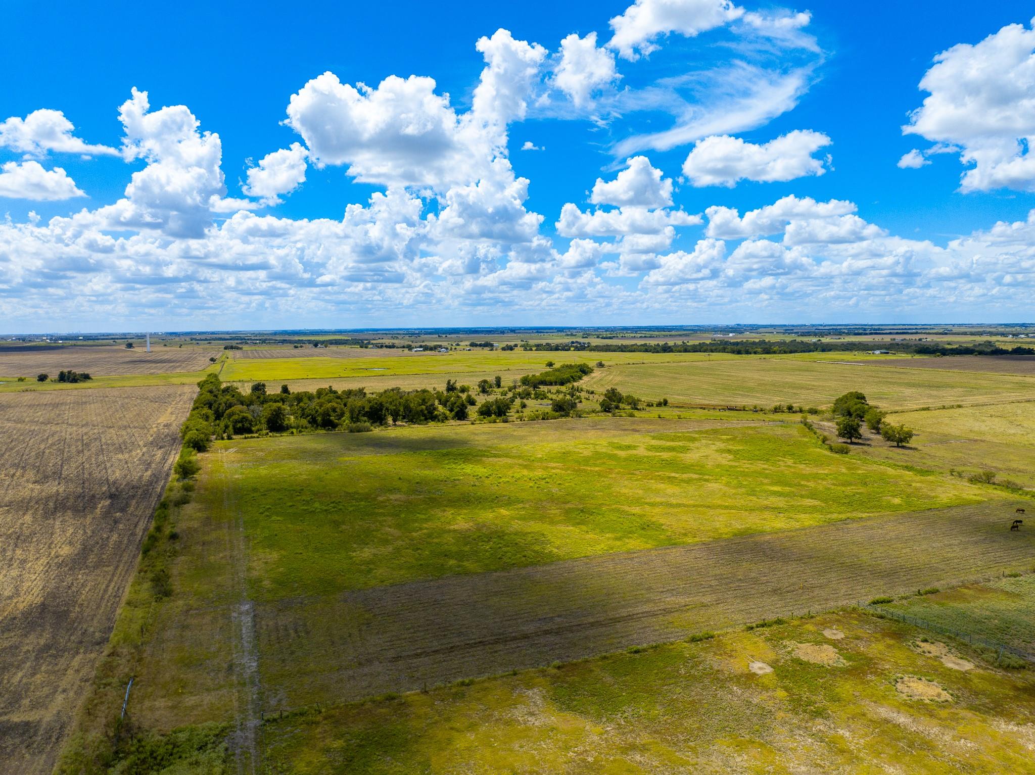 0 Tract 1 Cr 470 - Ctr Property Photo 11