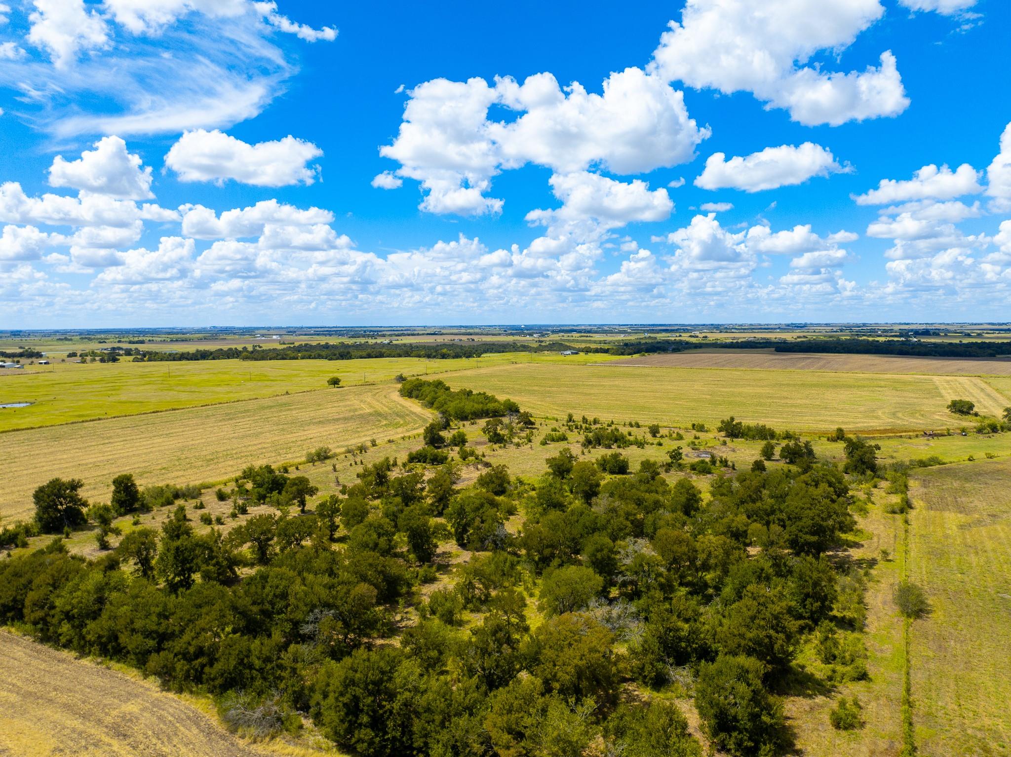 0 Tract 1 Cr 470 - Ctr Property Photo 12