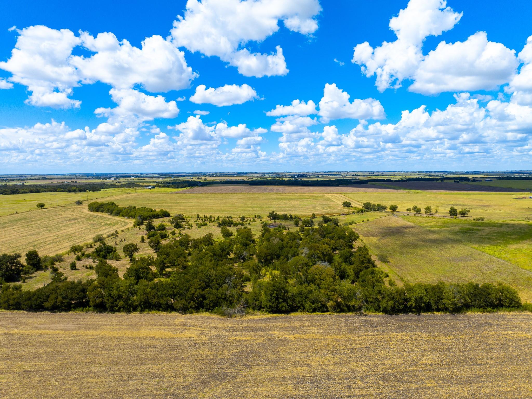 0 Tract 1 Cr 470 - Ctr Property Photo 13