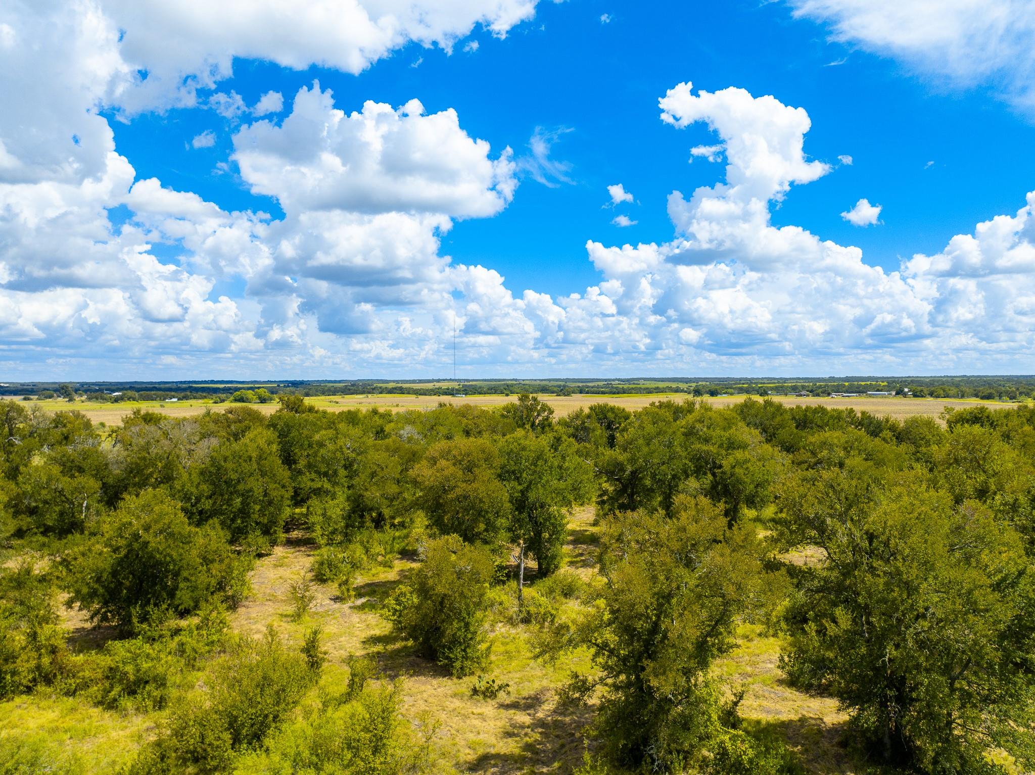 0 Tract 1 Cr 470 - Ctr Property Photo 23