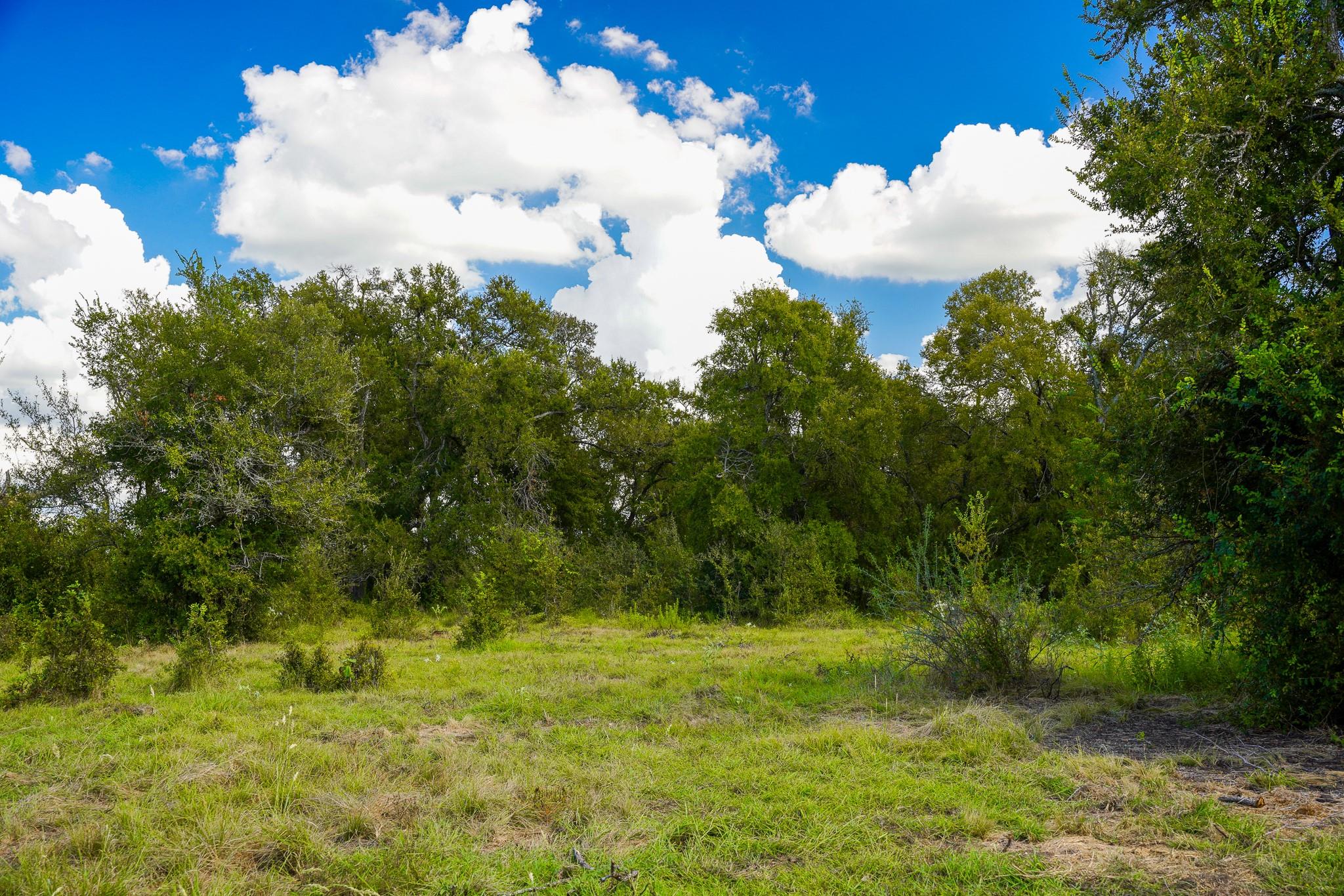 0 Tract 1 Cr 470 - Ctr Property Photo 26