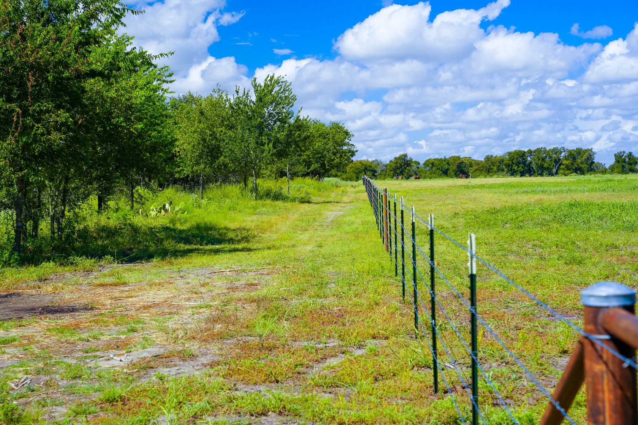 0 Tract 1 Cr 470 - Ctr Property Photo 30