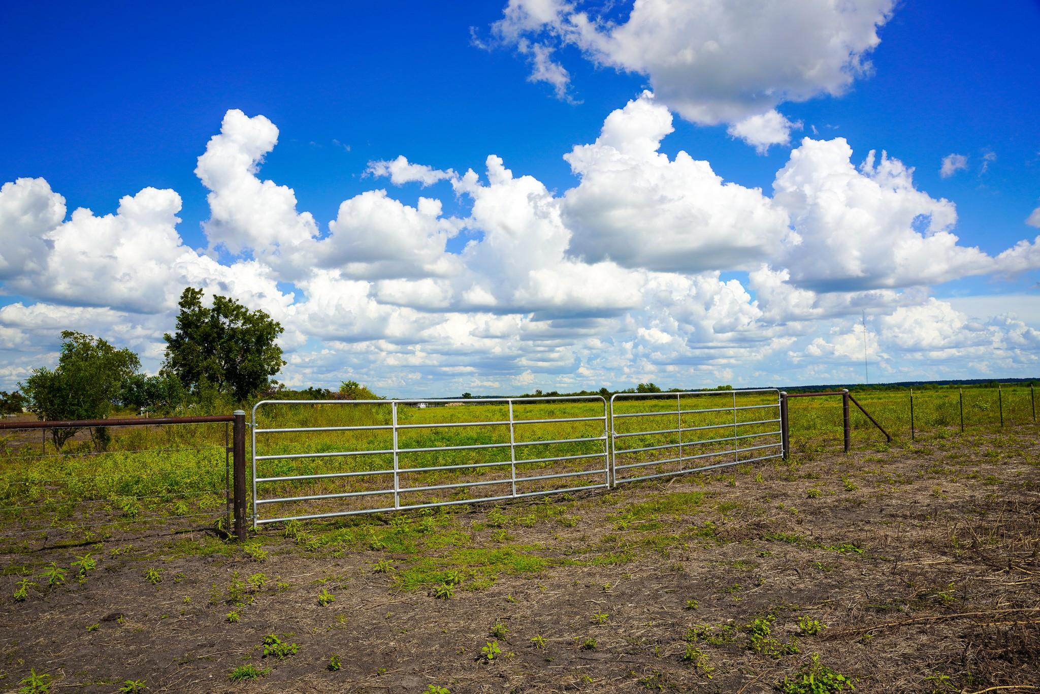 0 Tract 1 Cr 470 - Ctr Property Photo 32