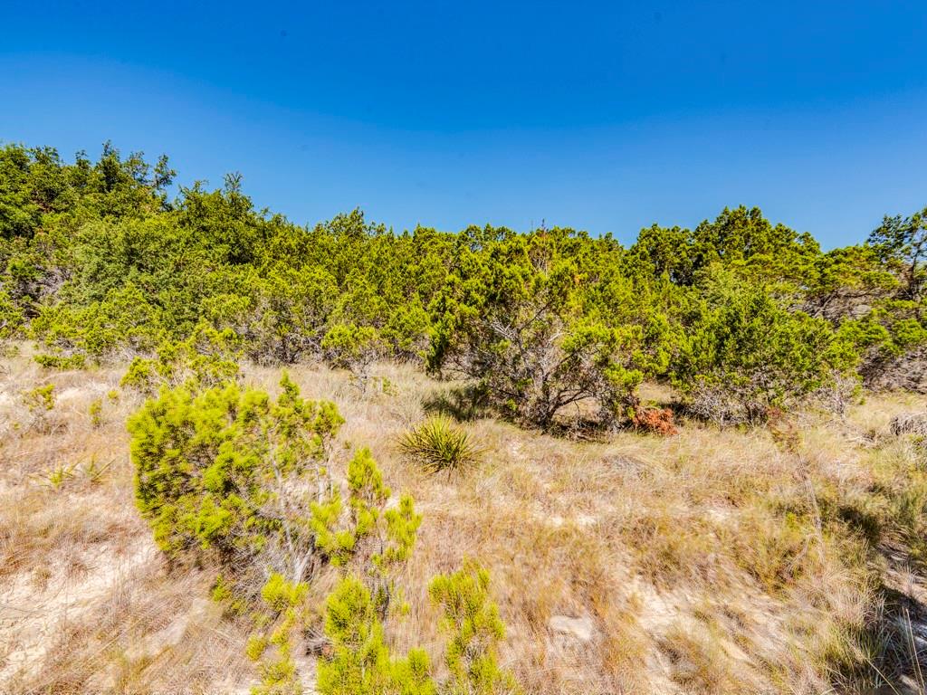 704 Palos Verdes Dr Property Photo 8