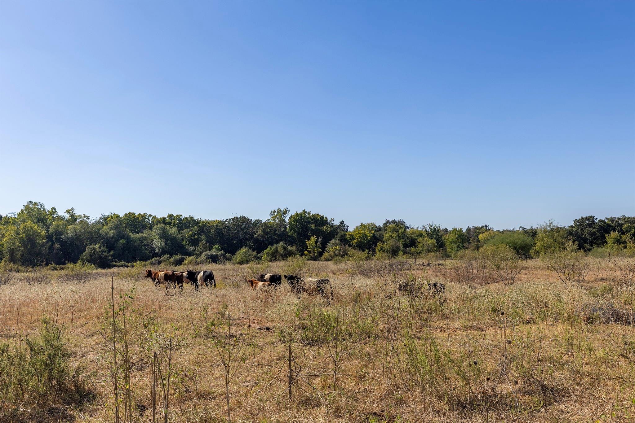 0 Cr 320 Property Photo 8