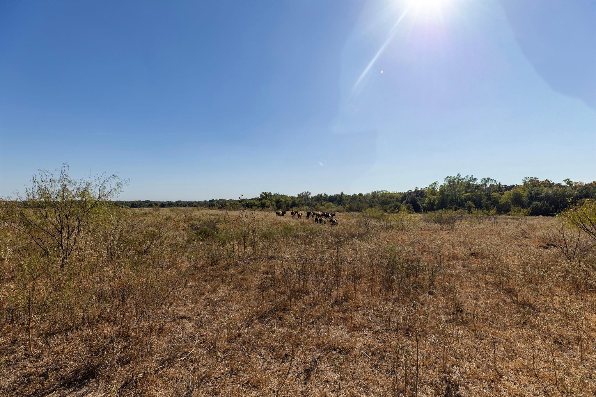 0 Cr 320 Property Photo 9