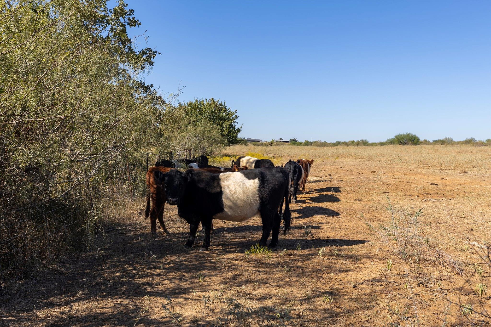 0 Cr 320 Property Photo 11