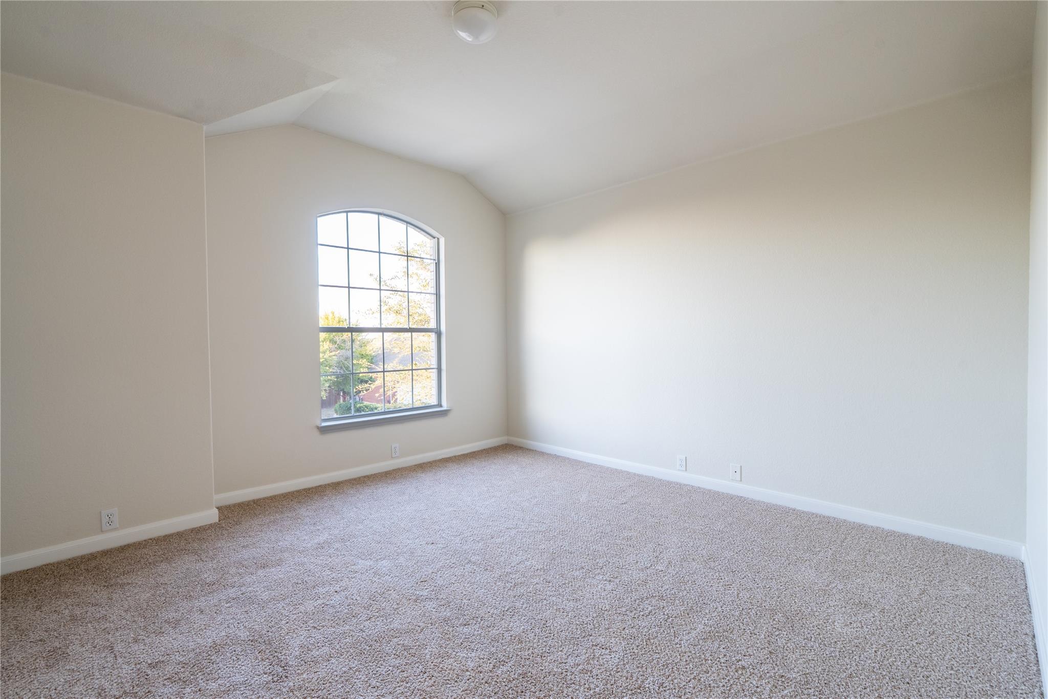 3533 Shiraz Loop Property Photo 16