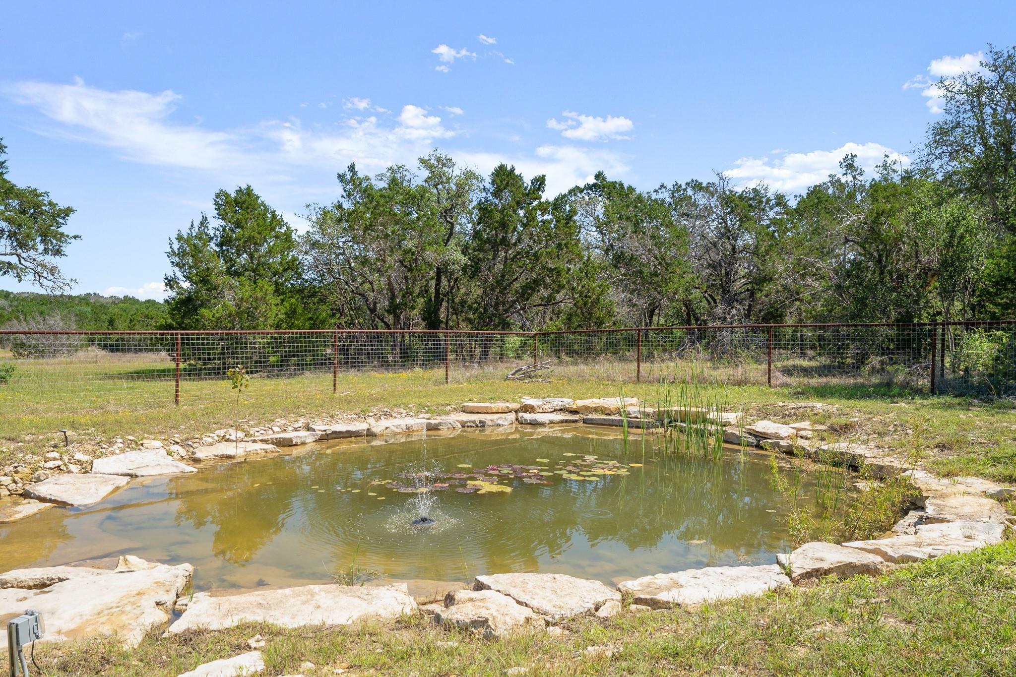 209 Esperanza Petal Pass Property Photo 39